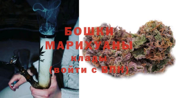 шишки Верхний Тагил
